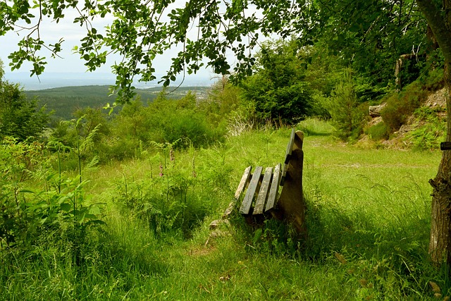 家马德里的 家马德里的
