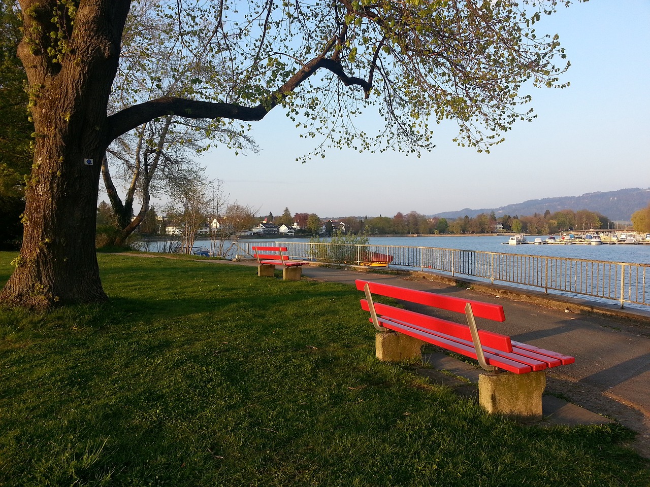 范迪克成功 范迪克成功