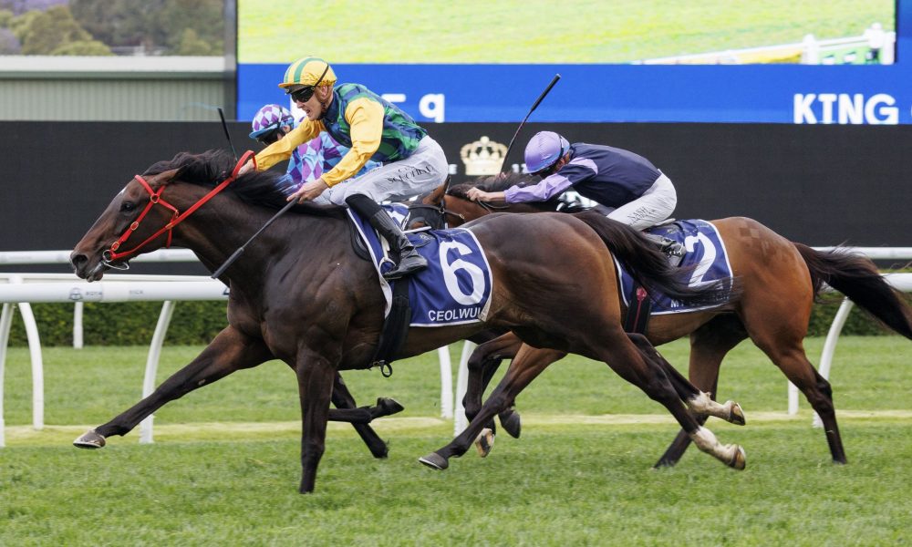 欧冠1-4出局!41岁范佩西不服:国米点球可疑,翻盘梦碎.